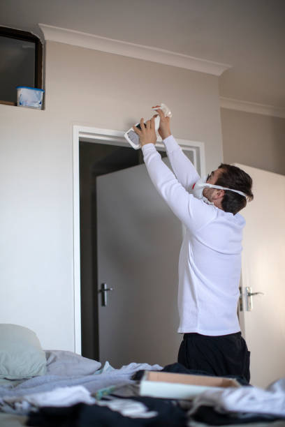 Best Mold Remediation for Rental Properties  in Lineville, AL