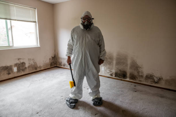 Best Emergency Mold Remediation  in Lineville, AL